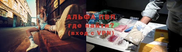 спиды Бородино
